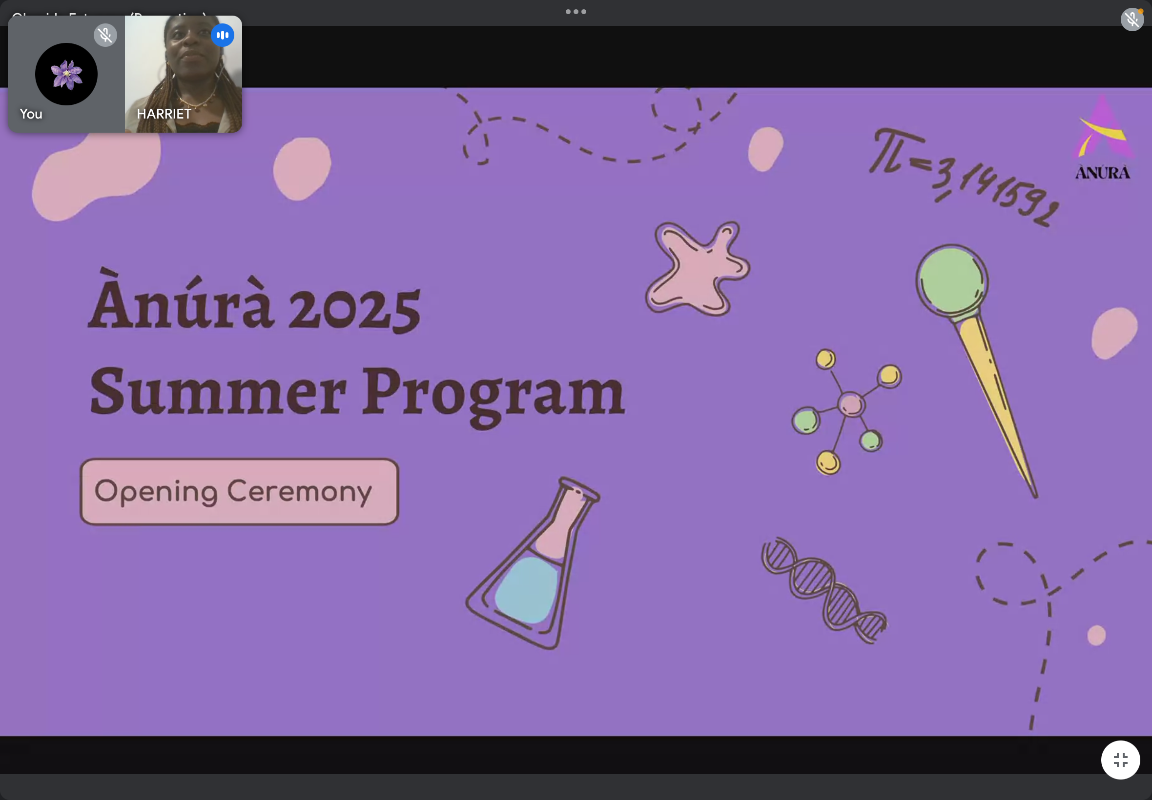 Virtual Summer Program Session